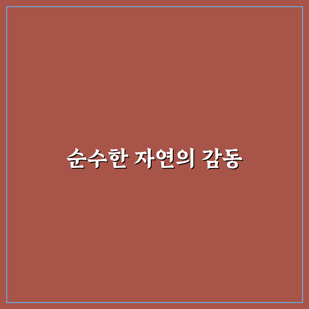 자리공나물 사용 후기, 직접 써보니 신선함과 식감이 달랐어요