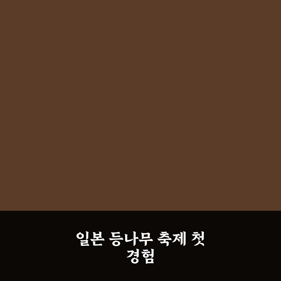 일본 등나무 축제 방문 후기, 꽃길 산책해보니 느낌은