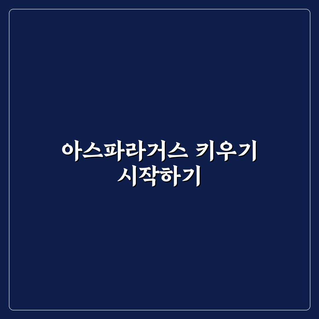 아스파라거스 모종 심는 시기 직접 알아보니 어려웠던 점