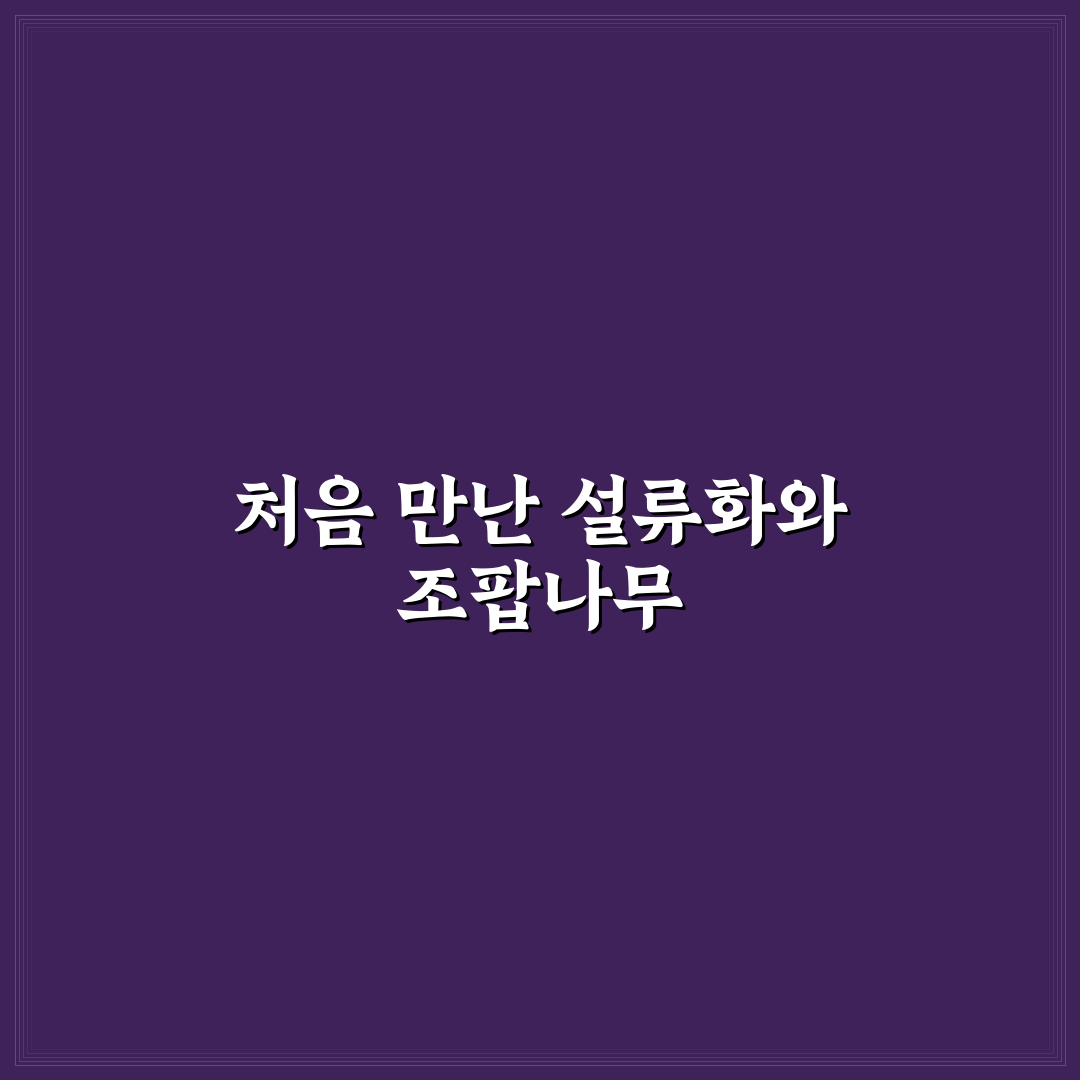 설류화 조팝나무 차이, 직접 알아보니 헷갈리는 점