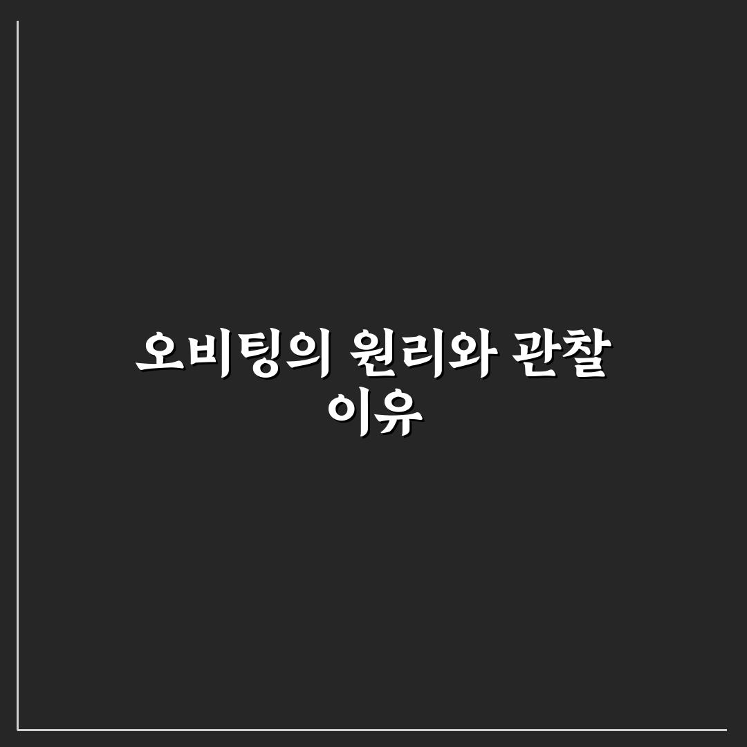 오비팅 현상 왜 그들은 주변을 맴도는가 쉽게 알아보는 정리