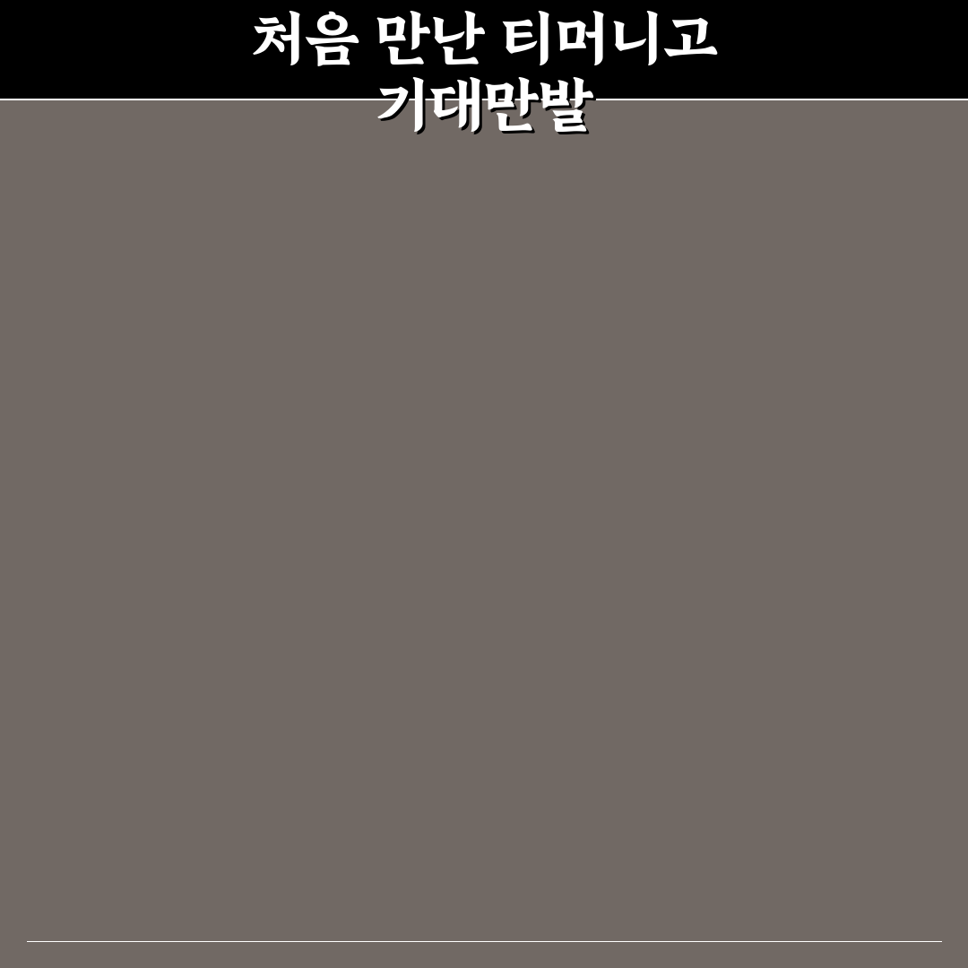 티머니고 공모전 신청 후기, 직접 참여해보니 알게 된 점