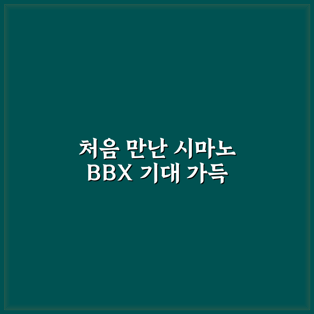 시마노 bbx 사용 후기, 직접 써보니 느낀 점들