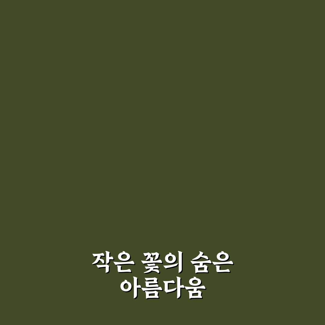 물망초 모종 직접 심어보니 성장 과정 후기가 궁금해요