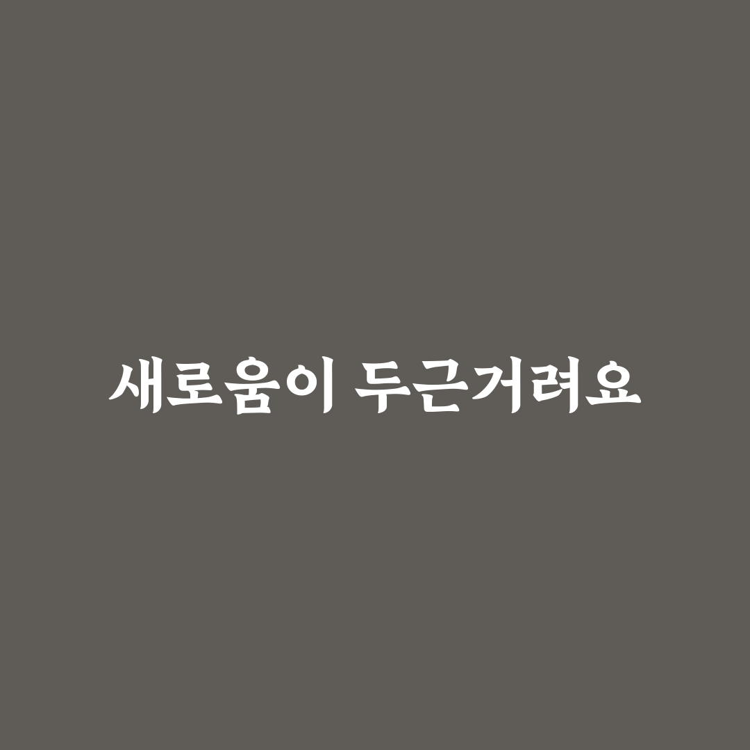제미나이 디시 사용 후기, 직접 써보니 궁금했던 점들