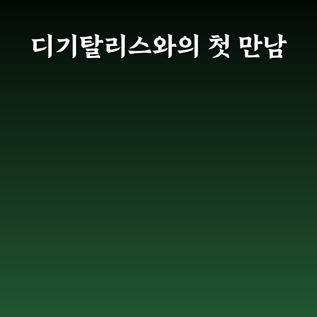 디기탈리스 키우기 직접 해보니 주의할 점들