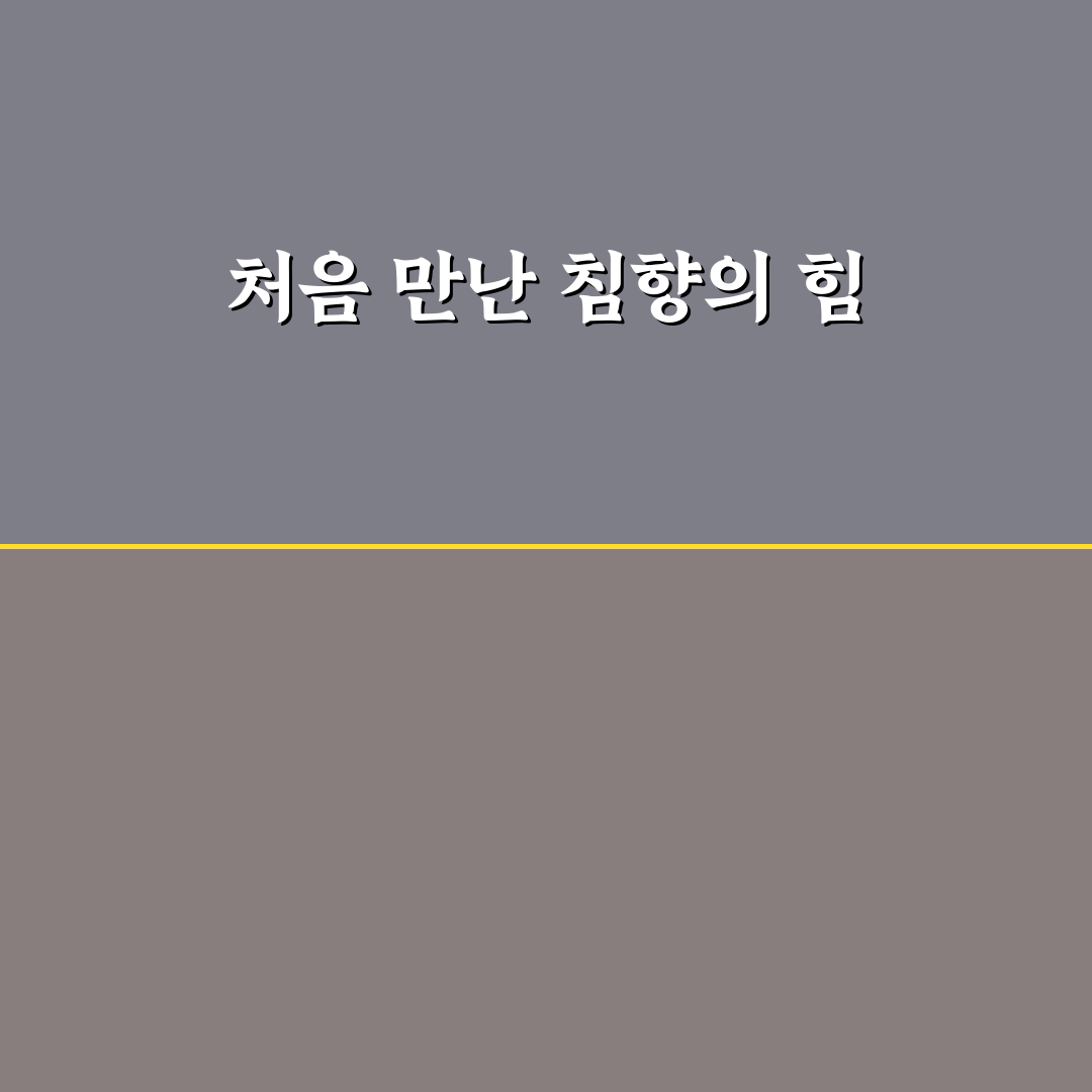마가보감 침향환 가격 직접 알아보니 생각보다 다양했어요
