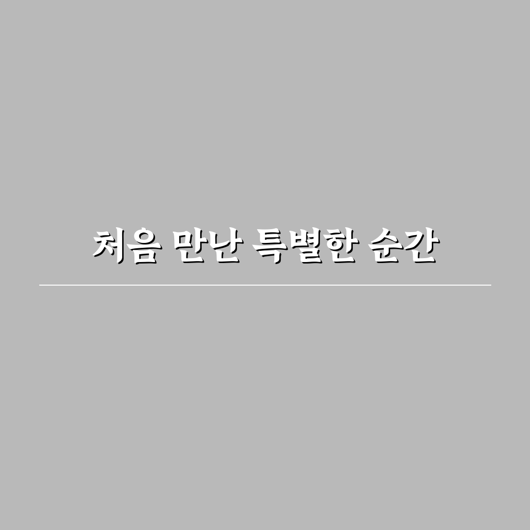 ott 카페 서울 방문 후기, 분위기와 서비스 솔직하게