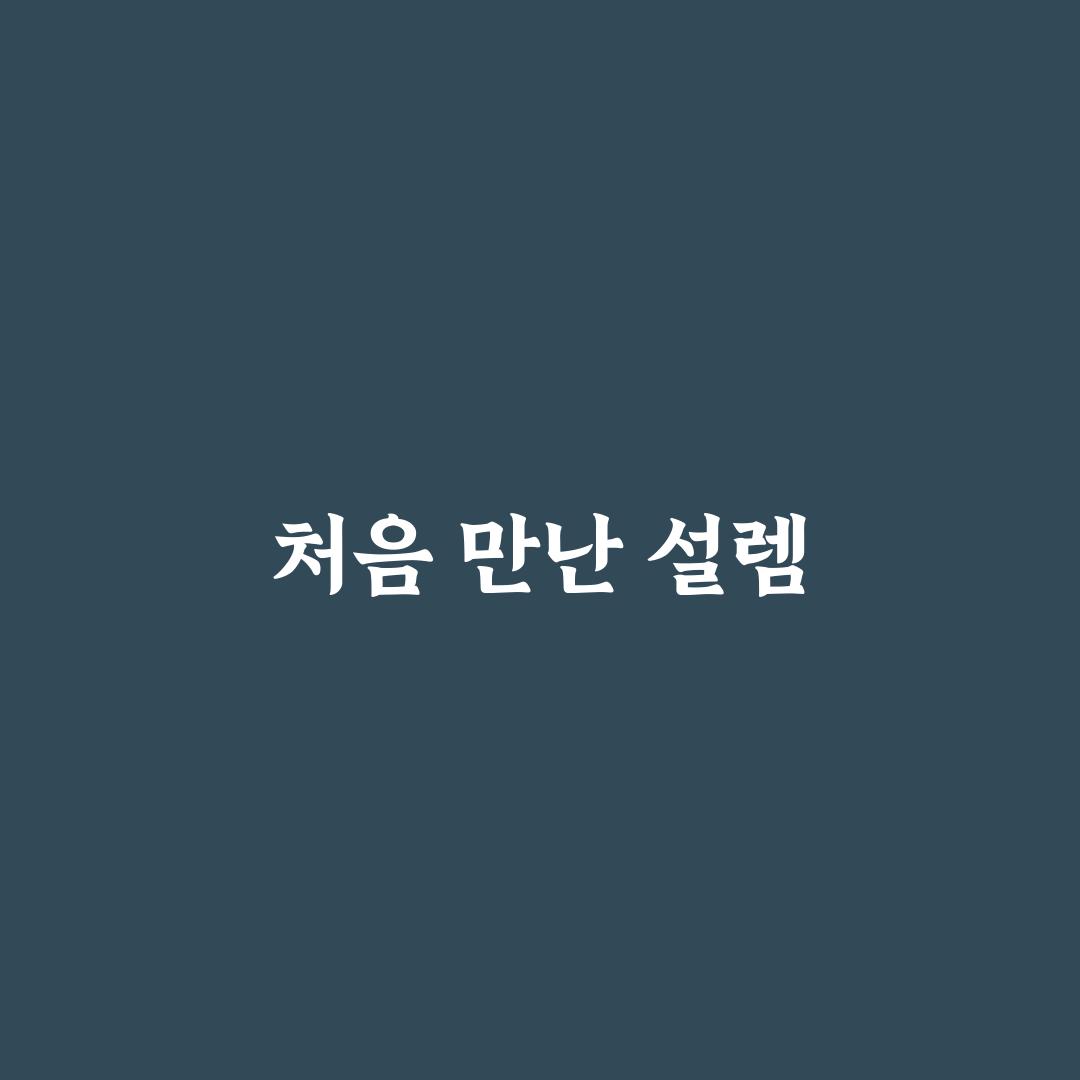 양재역 다이소 방문 후기, 상품 구성과 매장 분위기 직접 가보니