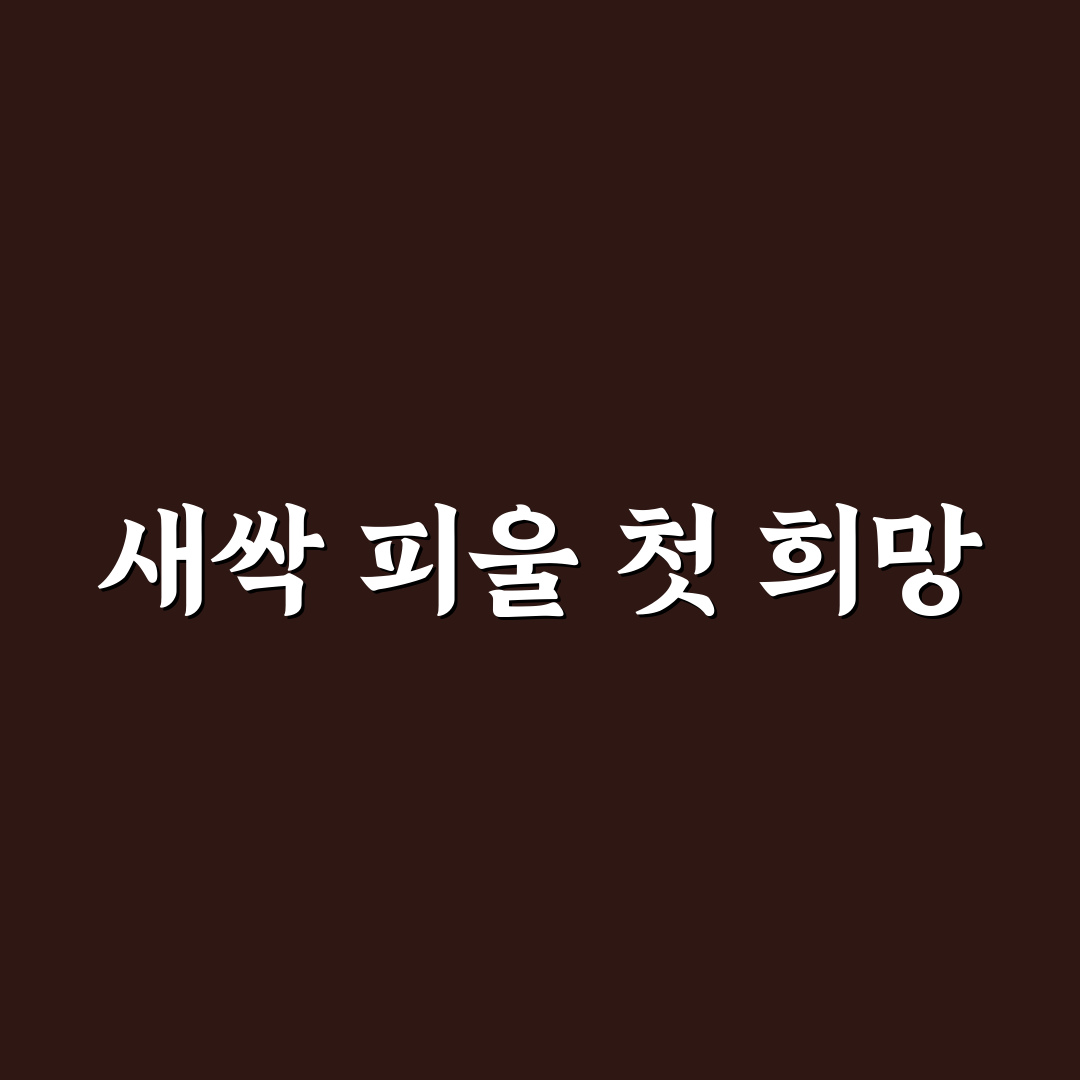 모란꽃씨 심는 방법, 직접 심어보니 달라진 점