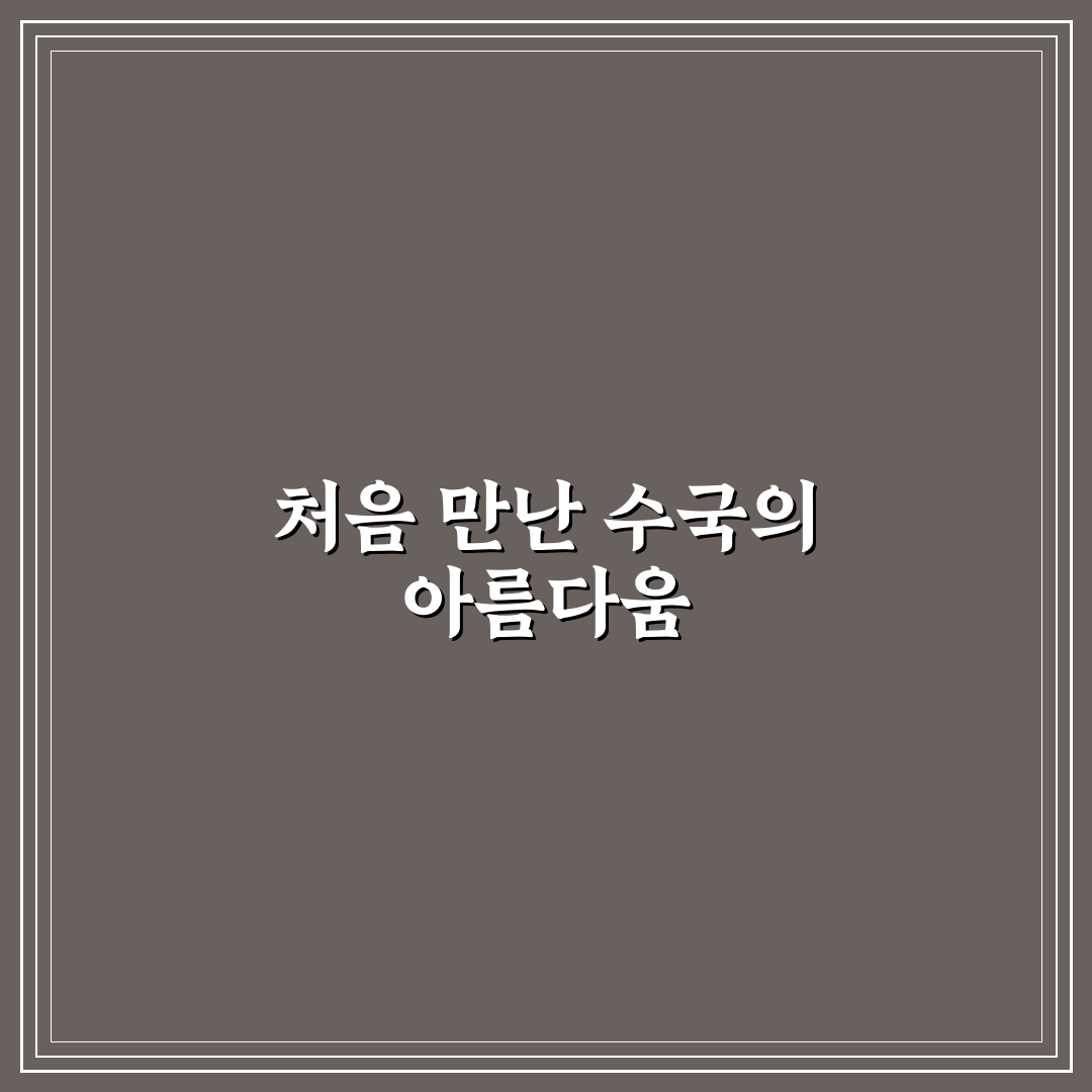 저구 수국동산 방문 후기, 직접 가보니 분위기와 볼거리