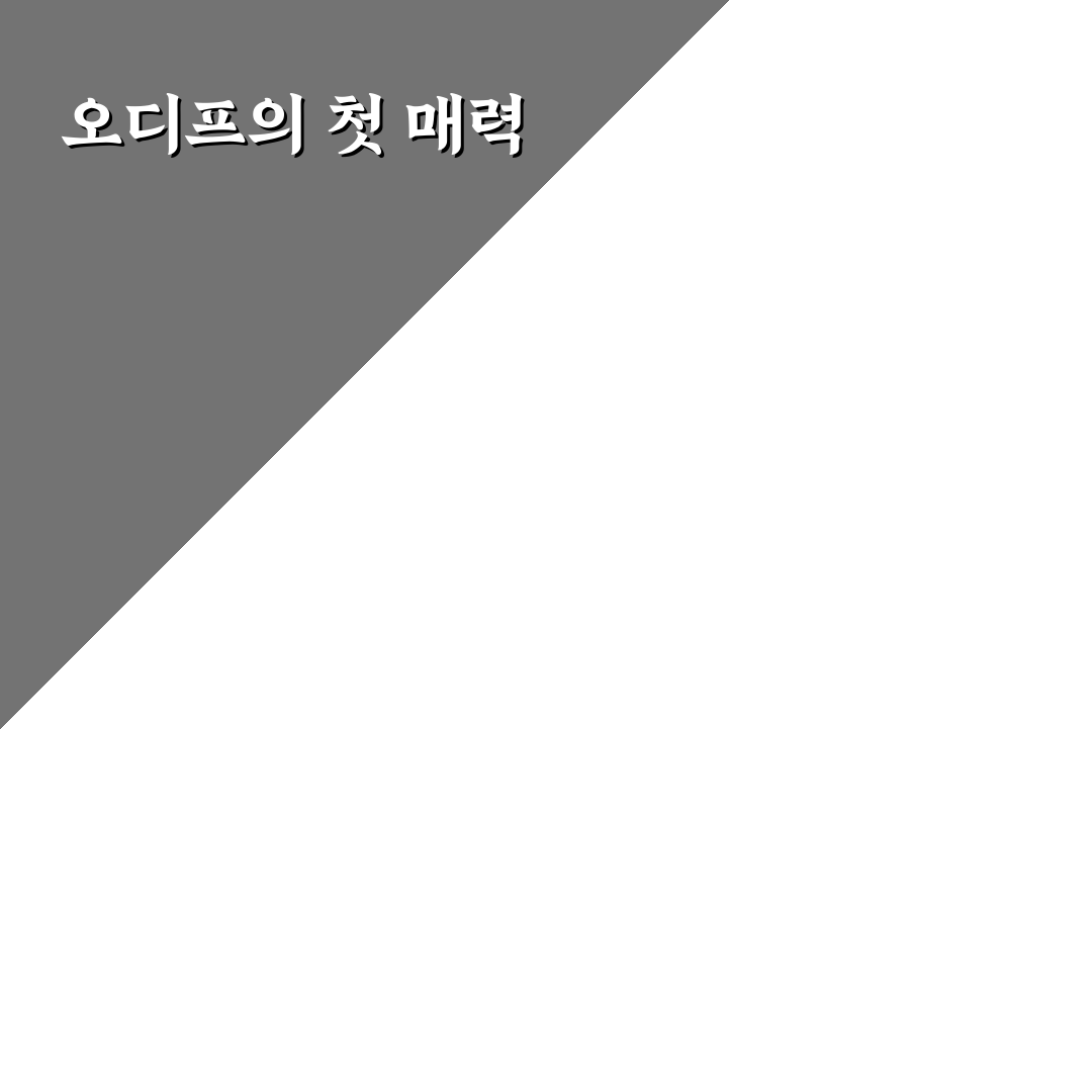오디프 사용 후기, 직접 써보니 알게 된 점들