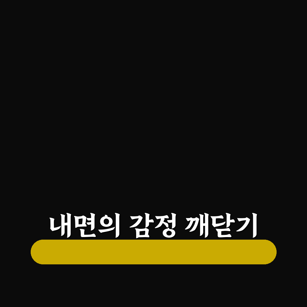 감정 자기 인식 훈련 추천 나를 더 잘 이해하는 시간