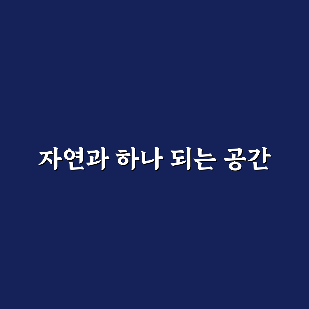 인조풀 사용 후기, 직접 써보니 관리법이 달랐어요