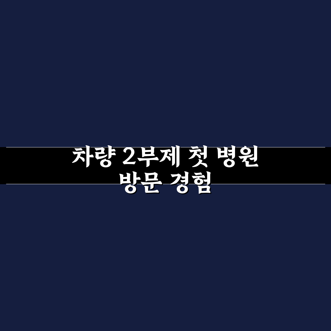 차량 2부제 병원 이용 후기, 실제 경험해보니 불편했던 점