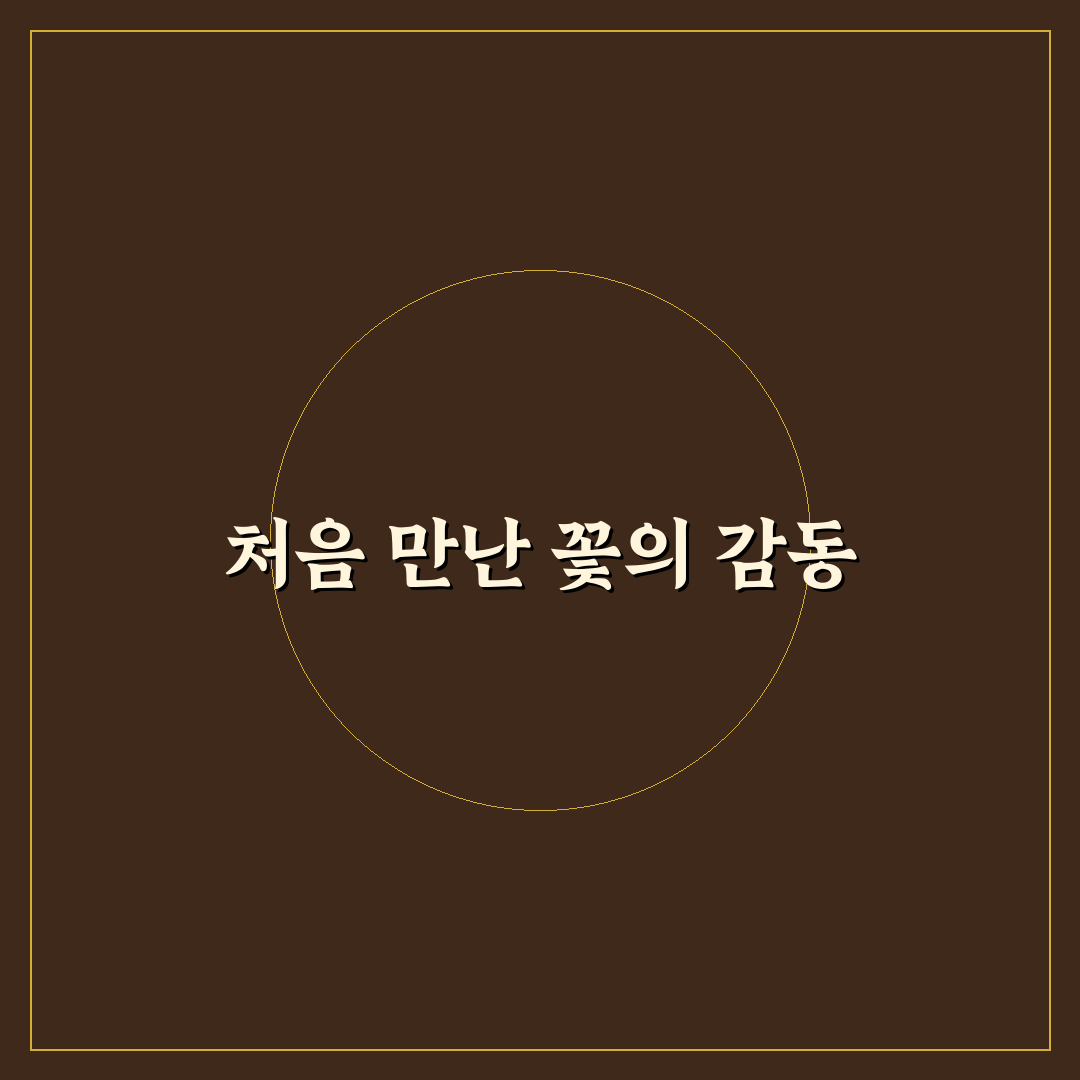 어버이날 꽃화분 사용 후기, 생각보다 뜻깊었던 이유