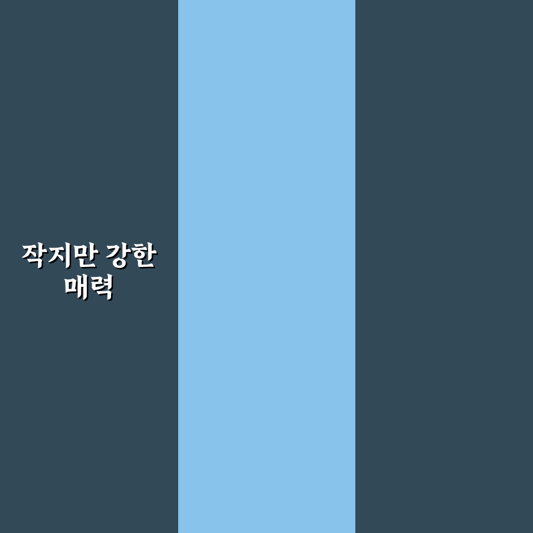더블링크 스몰 사용 후기, 직접 써보니 알게 된 점