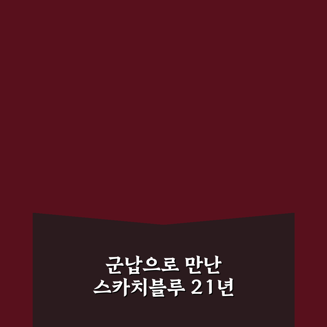 스카치블루 21년산 가격 군납, 직접 알아보니 현실적인 면모