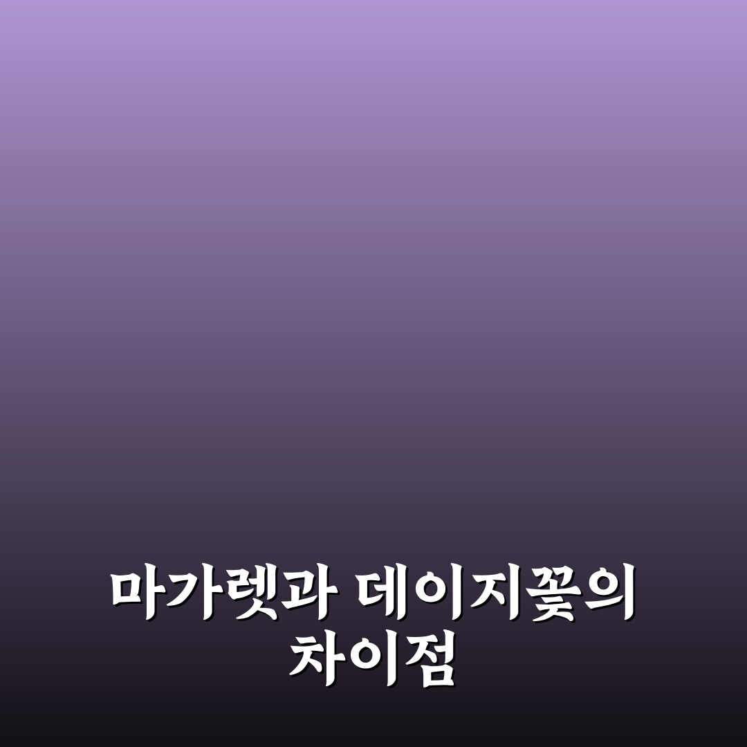 마가렛과 데이지 꽃 차이 5가지 기준 비교 분석