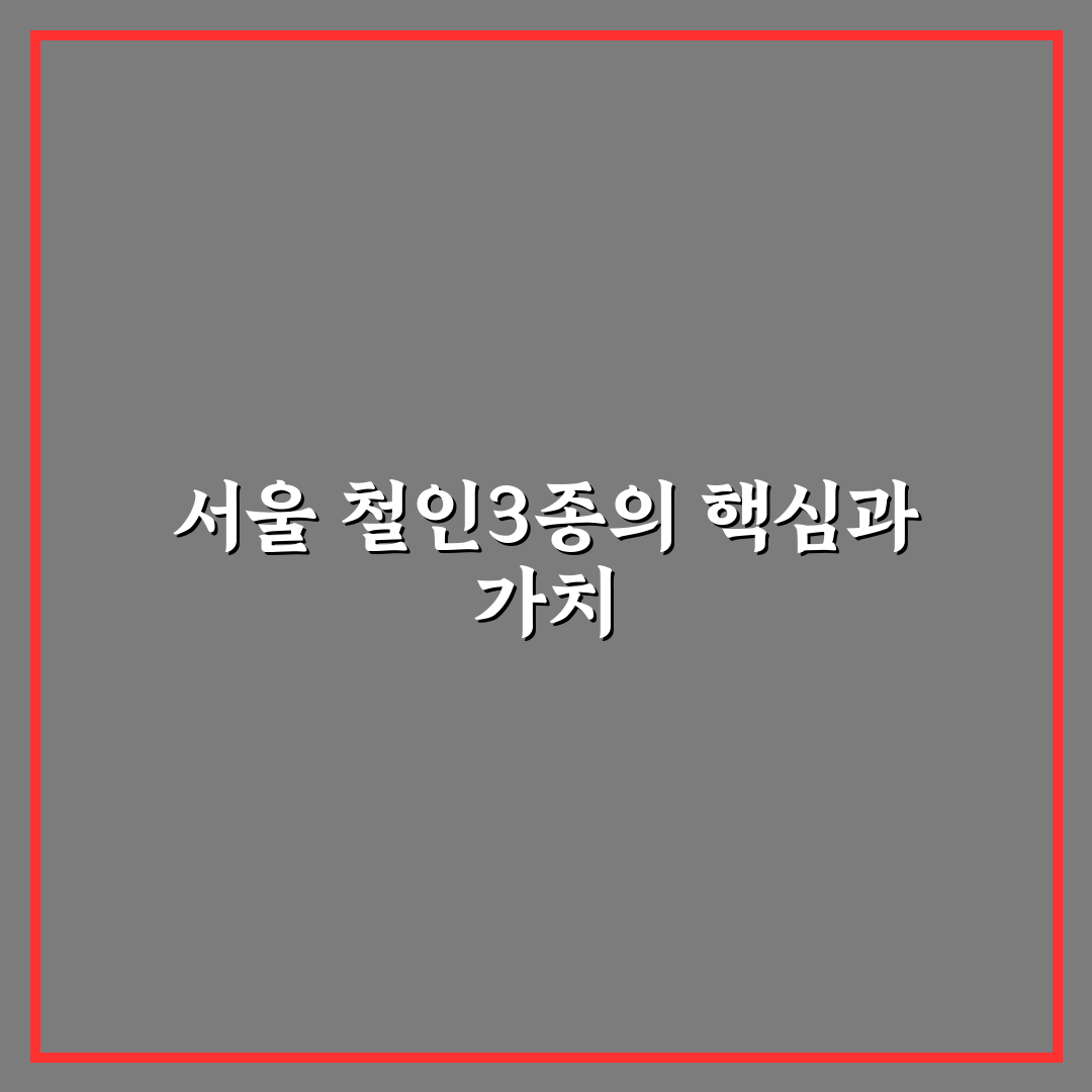 서울특별시 철인3종협회 활동과 지원 기준 분석 5가지
