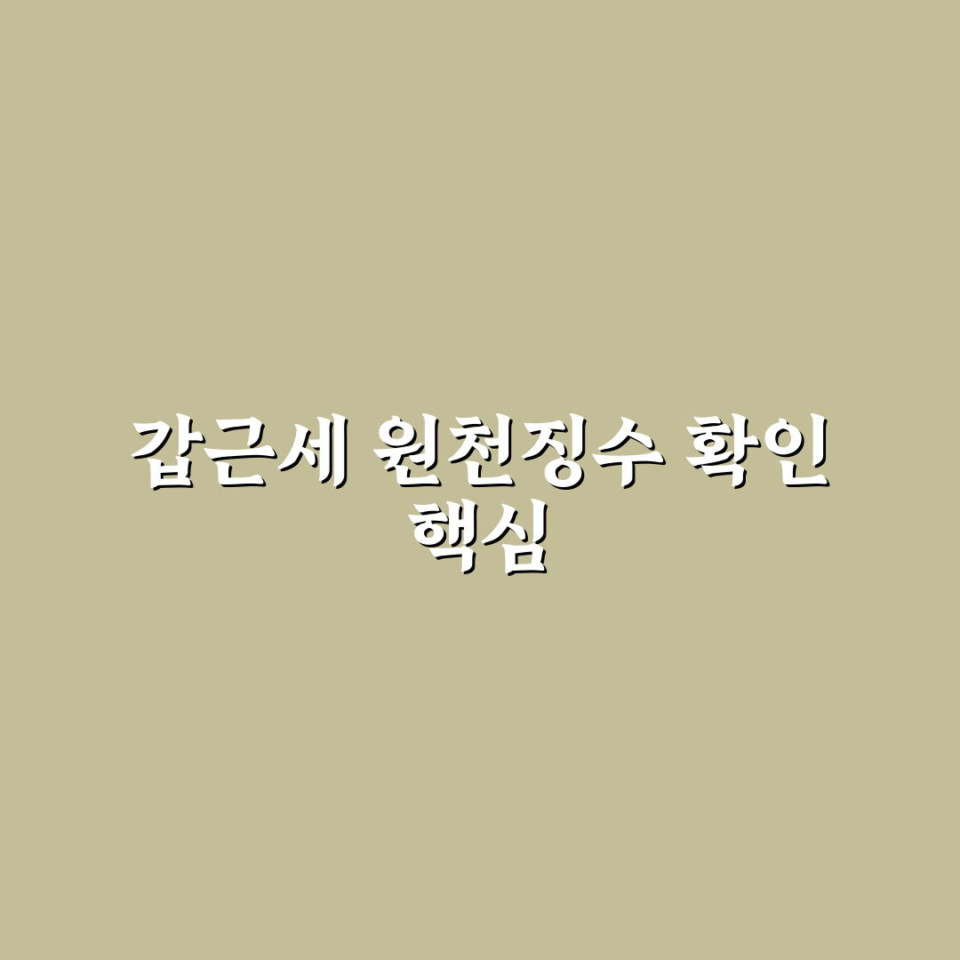 갑근세 원천징수확인서 발급 절차와 유의사항 비교 분석