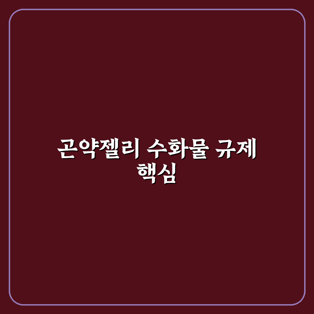 일본 곤약젤리 수화물 규정과 휴대 기준 비교 총정리
