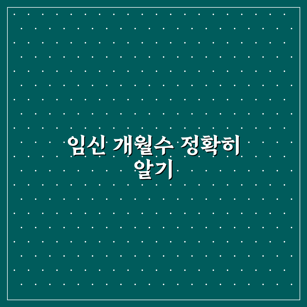 임산부 개월수 계산기 사용법과 정확도 비교 분석 가이드