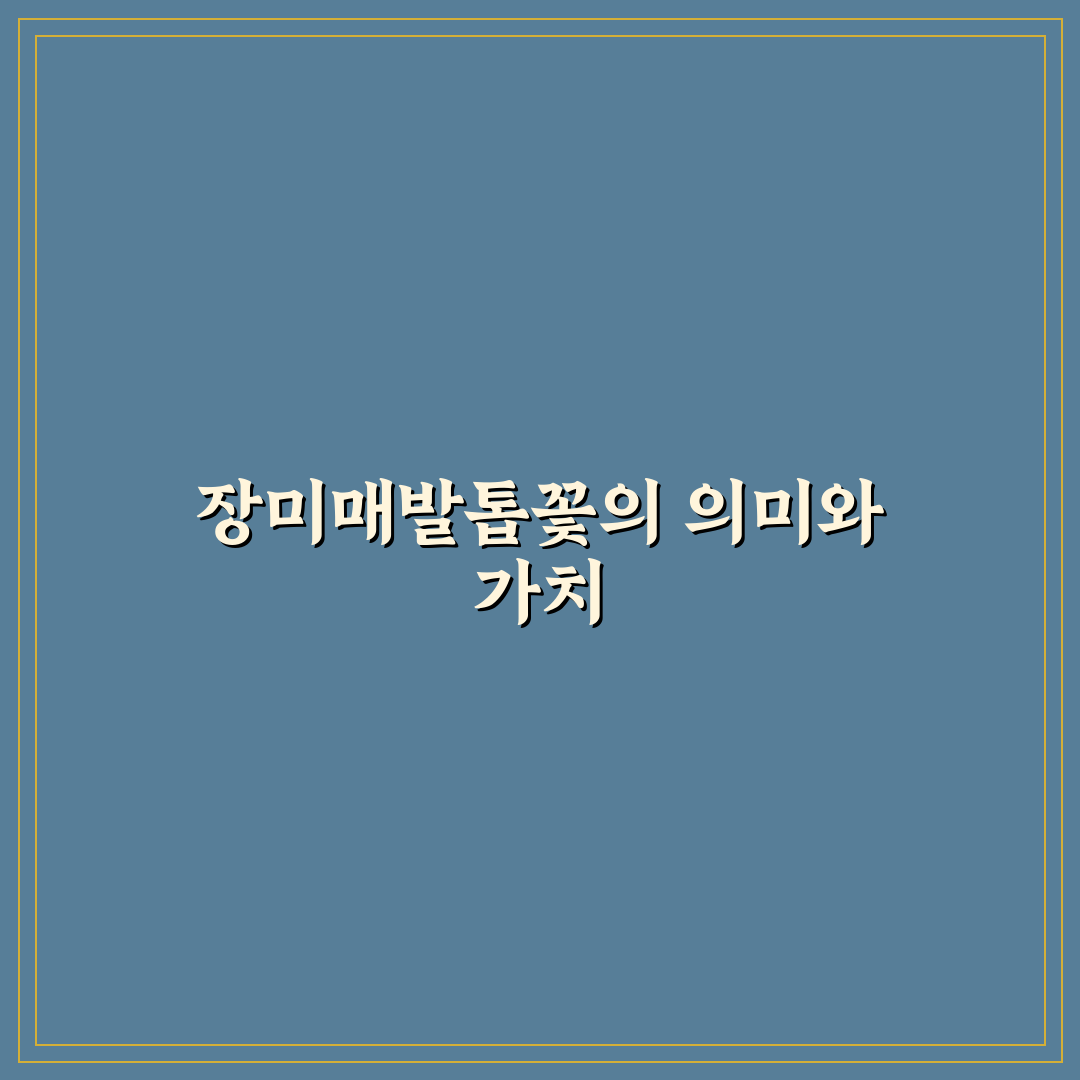 장미매발톱꽃 특징과 재배법 비교 분석 가이드