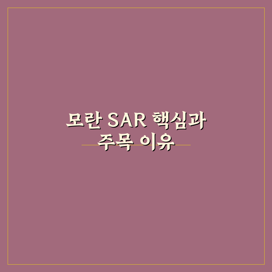 모란 sar 성능 비교와 활용 가이드 5가지 체크포인트
