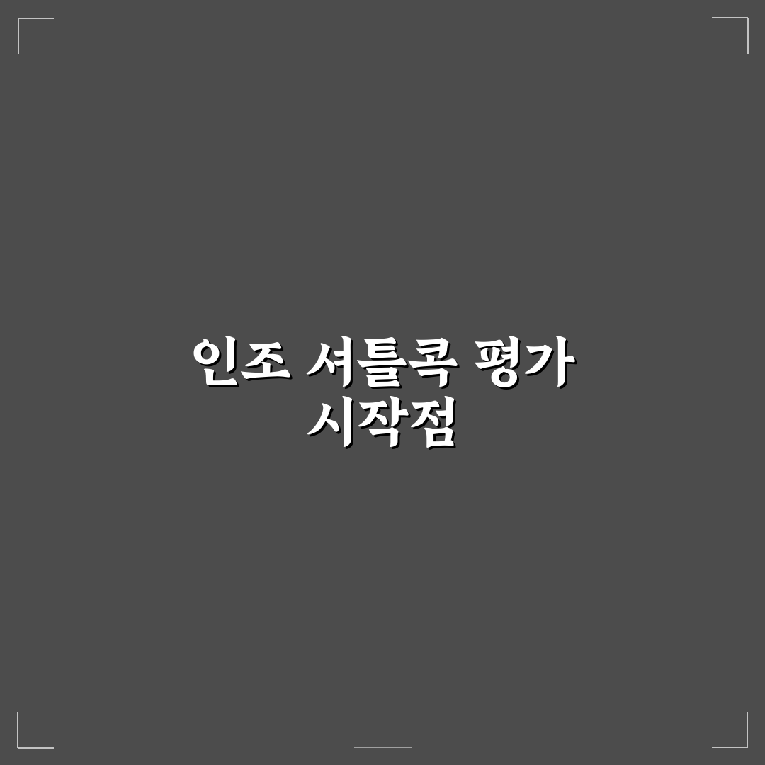 인조 셔틀콕 비교와 선택 가이드 5가지 체크포인트