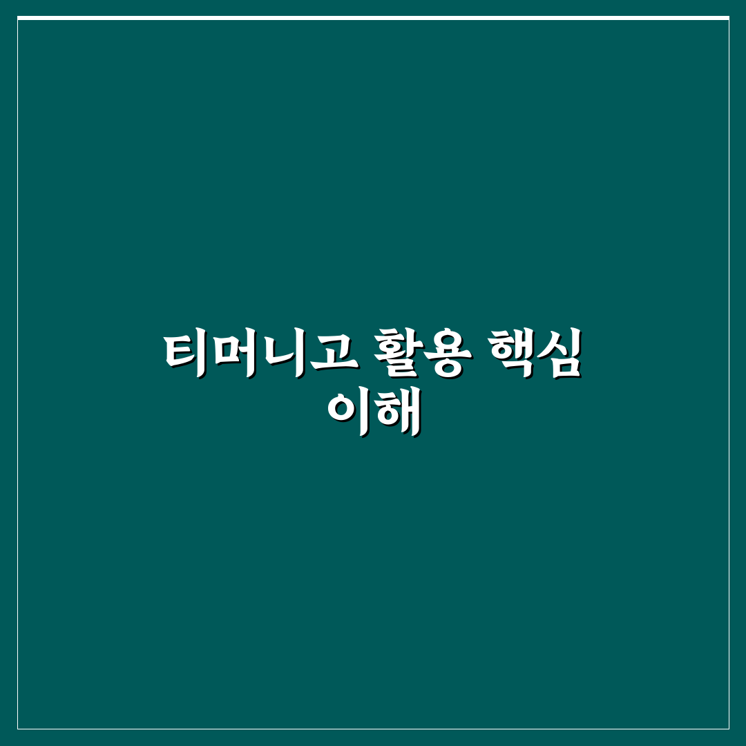 티머니고 캡쳐 기능별 비교와 사용 시 체크포인트 총정리