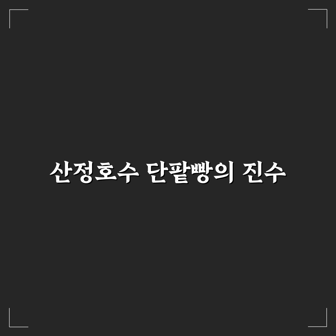 산정호수 빵명장 단팥빵 품질과 맛 비교 분석 가이드