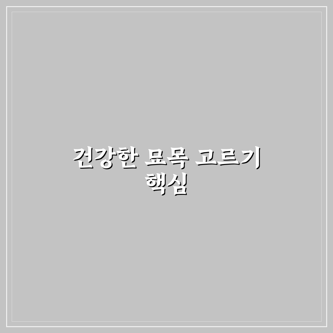 조팝나무 묘목 선택 가이드와 주요 성장 기준 비교 분석