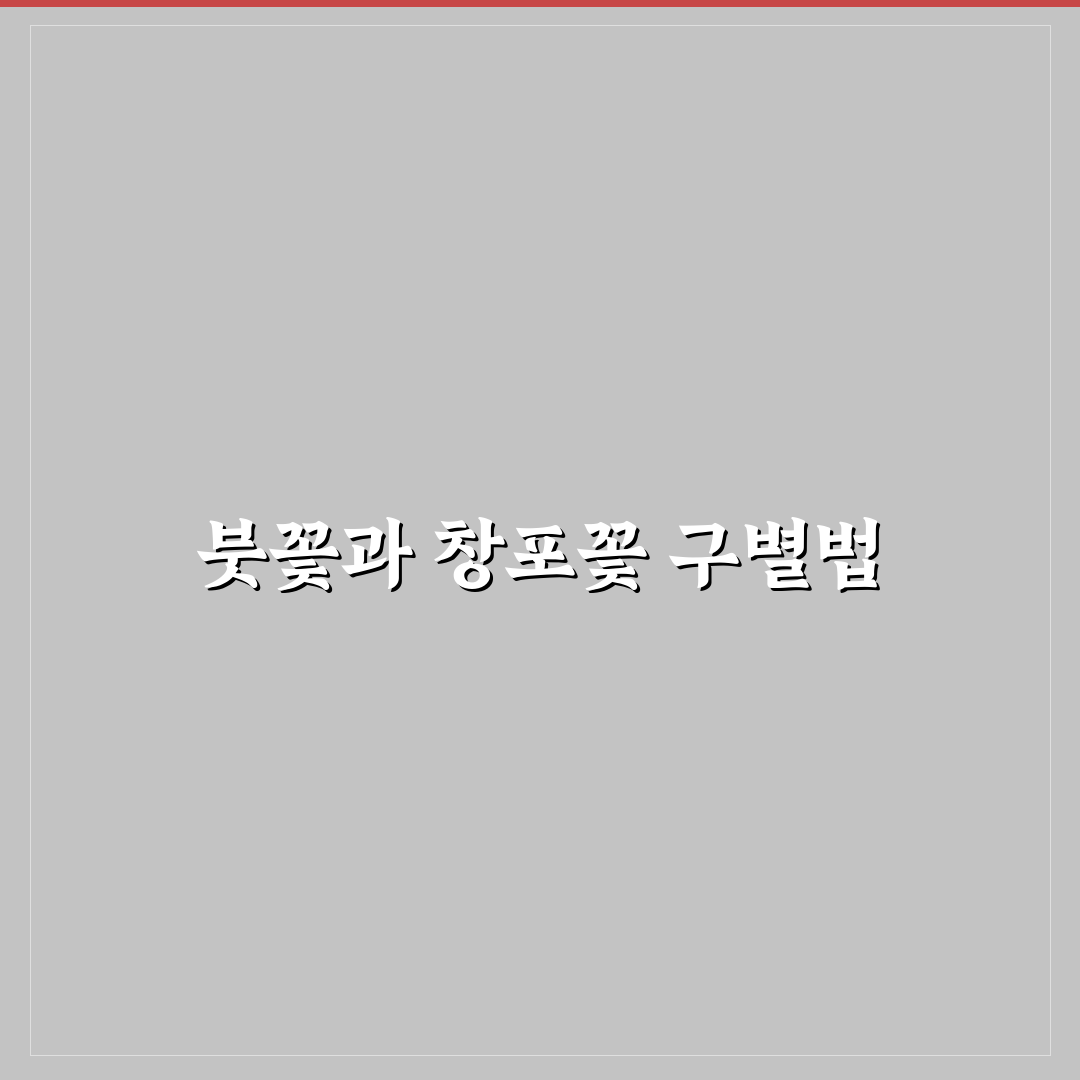 붓꽃과 창포꽃 차이점 비교와 구별 기준 총정리