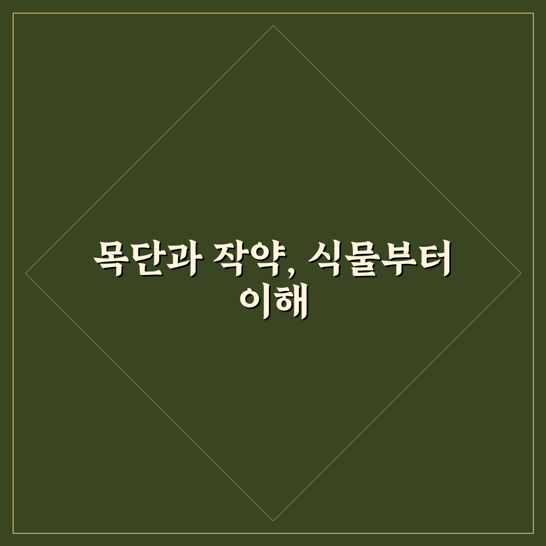 목단과 작약 비교: 5가지 기준별 특징과 활용 가이드