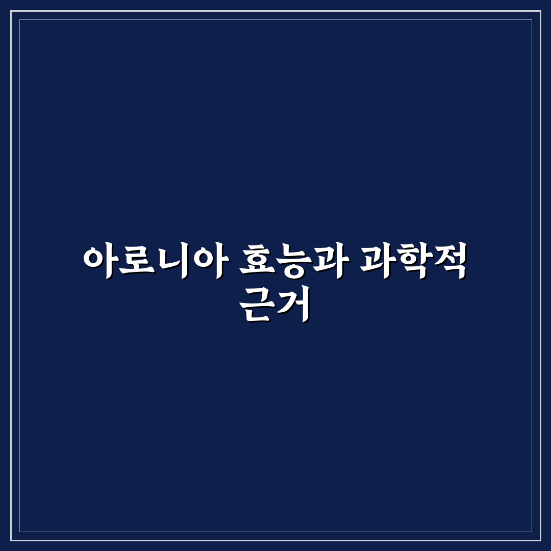 아로니아 술효능 5가지 기준별 비교와 분석 가이드