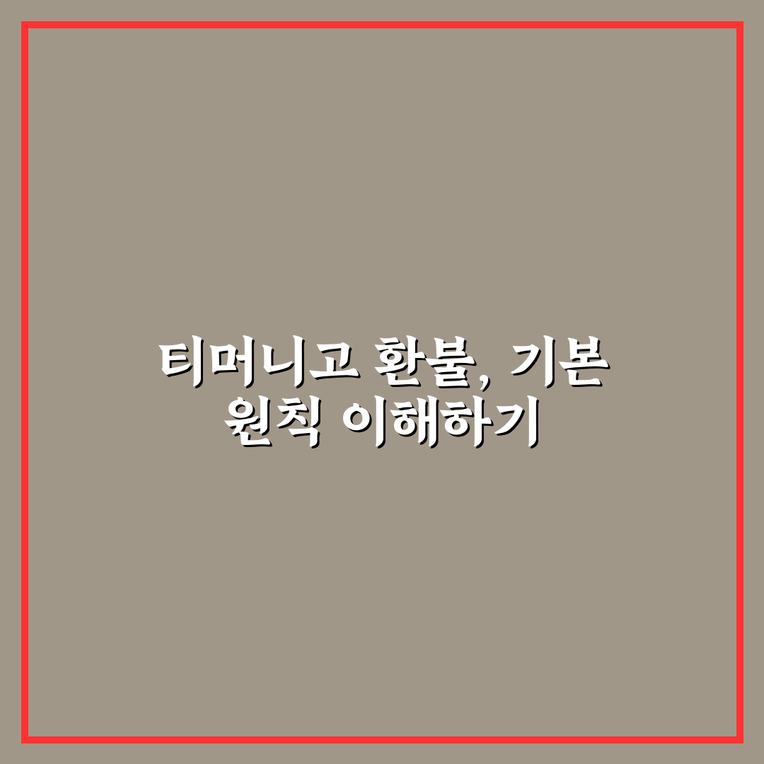 티머니고 환불 수수료 비교와 기준 5가지 총정리
