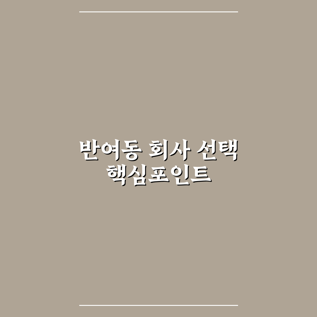 반여동 회사랑 입지·서비스 5가지 기준 비교 분석