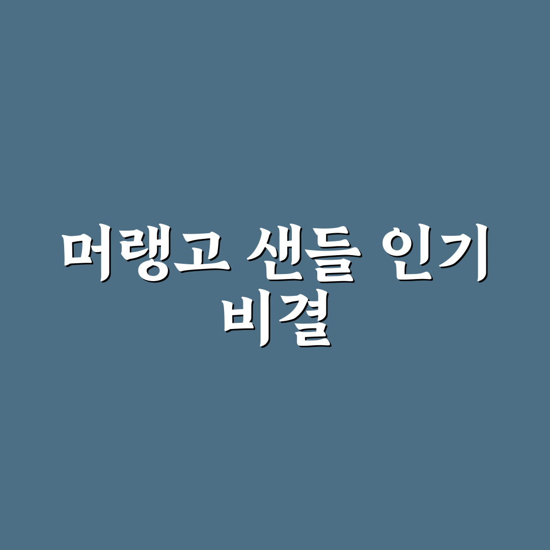 머랭고 샌들 비교와 가이드: 착화감, 디자인, 내구성 기준 분석
