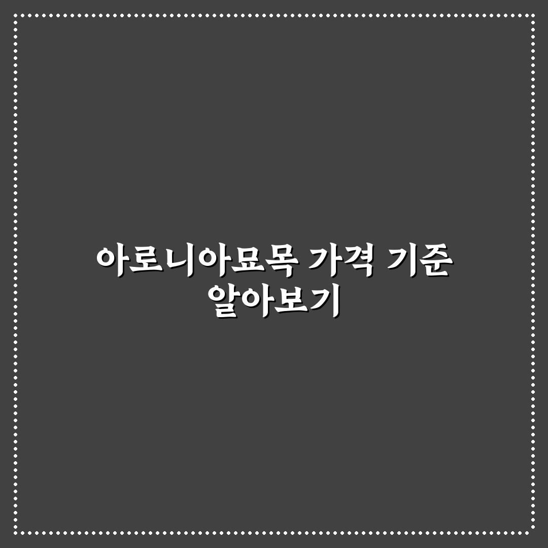 아로니아묘목가격 비교와 구매 전 체크포인트 총정리