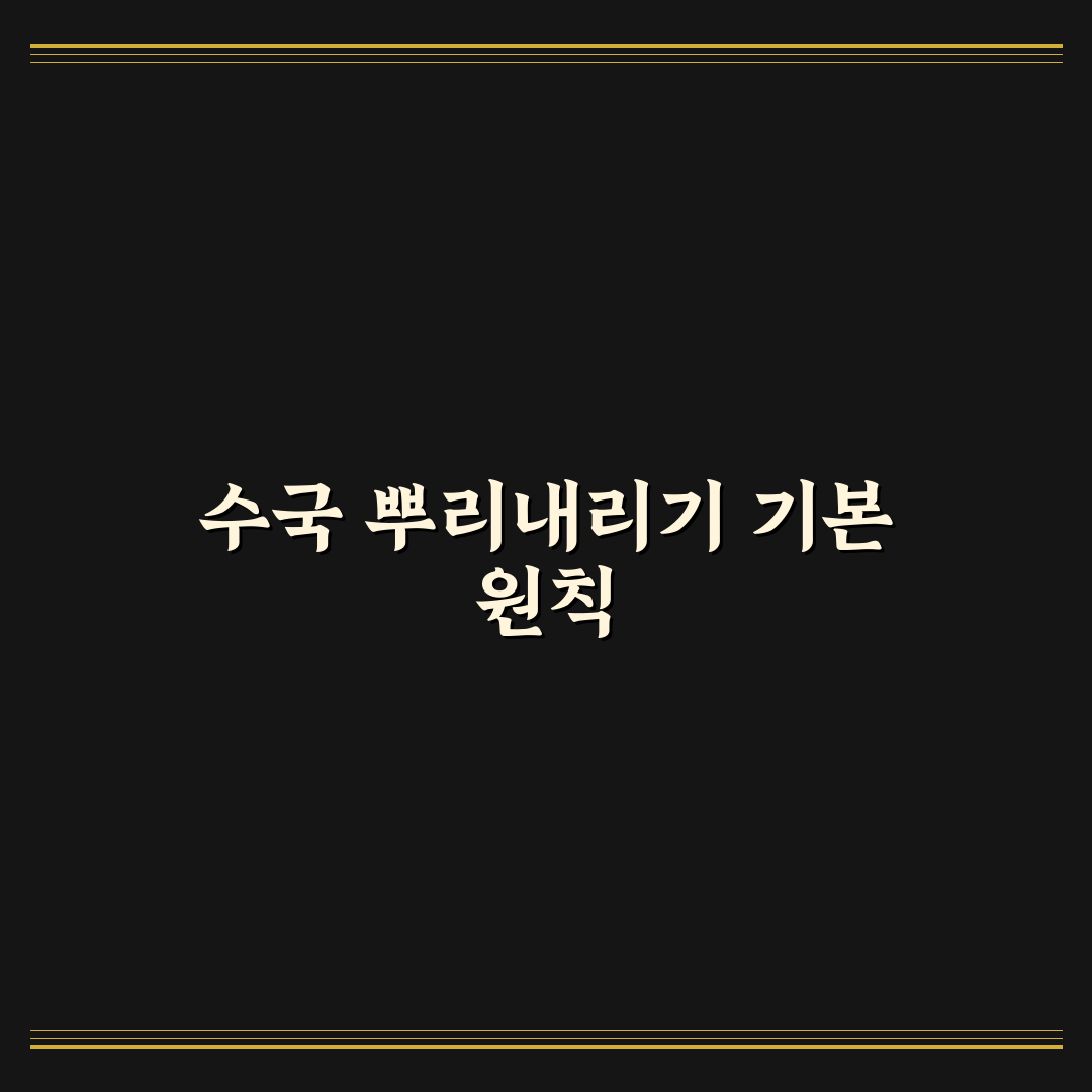 수국뿌리내리기 성공을 위한 5가지 기준과 체크포인트