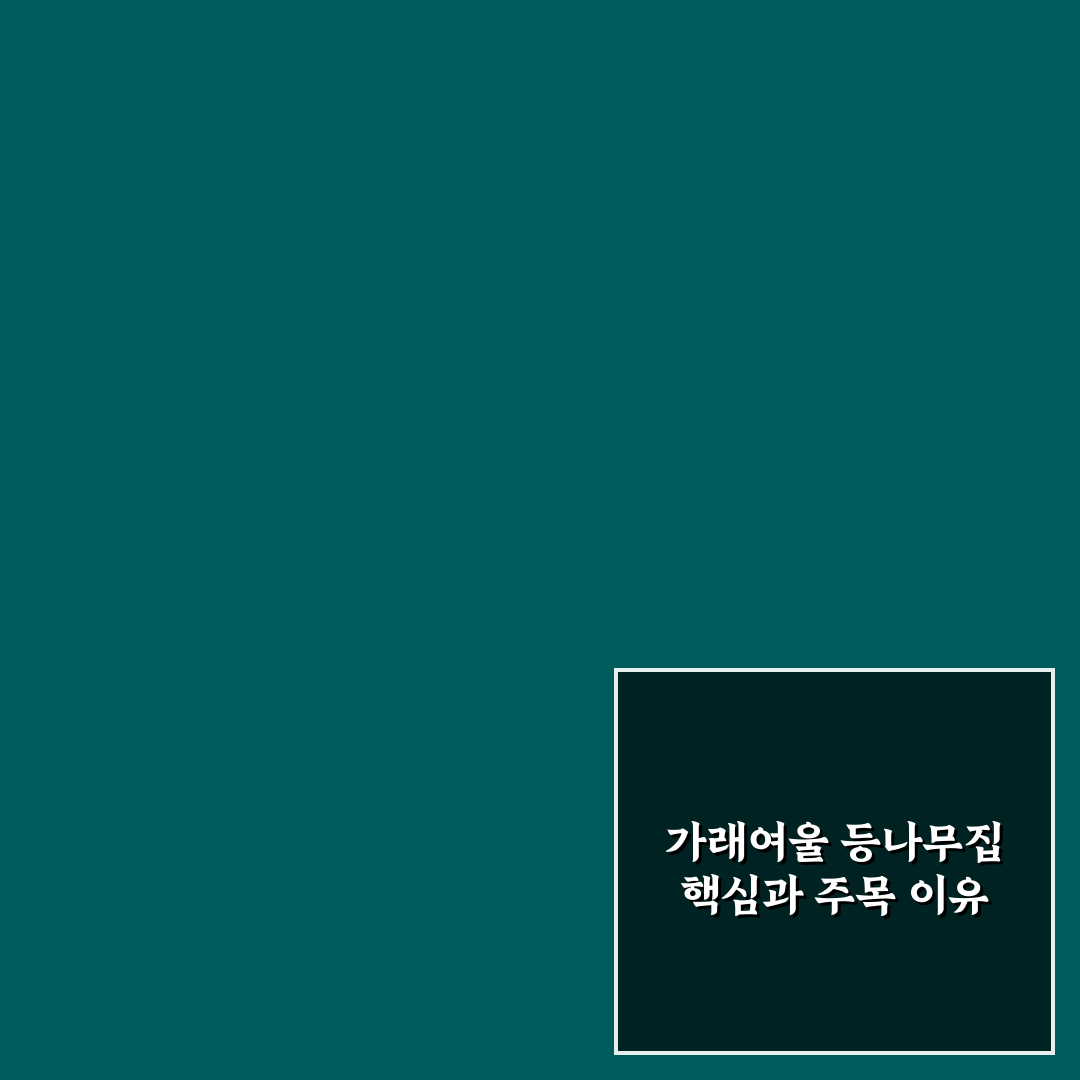 가래여울 등나무집 만족도 비교와 선택 기준 총정리