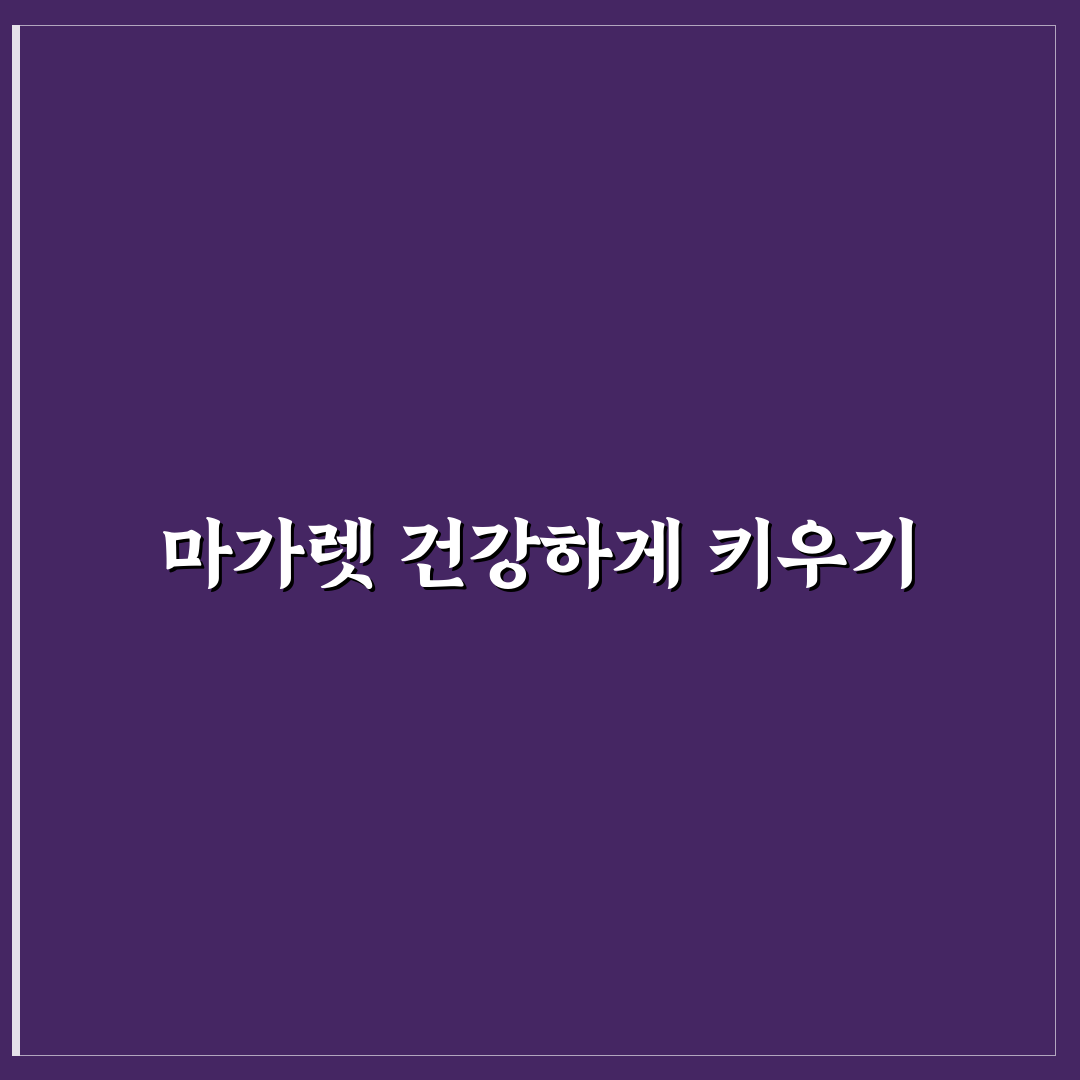 마가렛 꽃 키우기 핵심 가이드와 성장 체크포인트 분석
