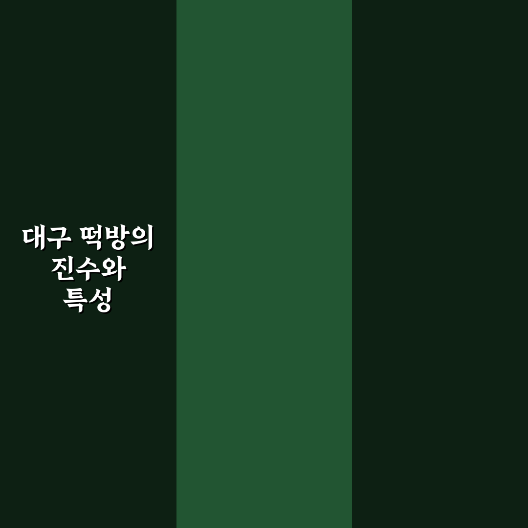 대구 대한민국 떡방 비교와 선택 기준 5가지 총정리