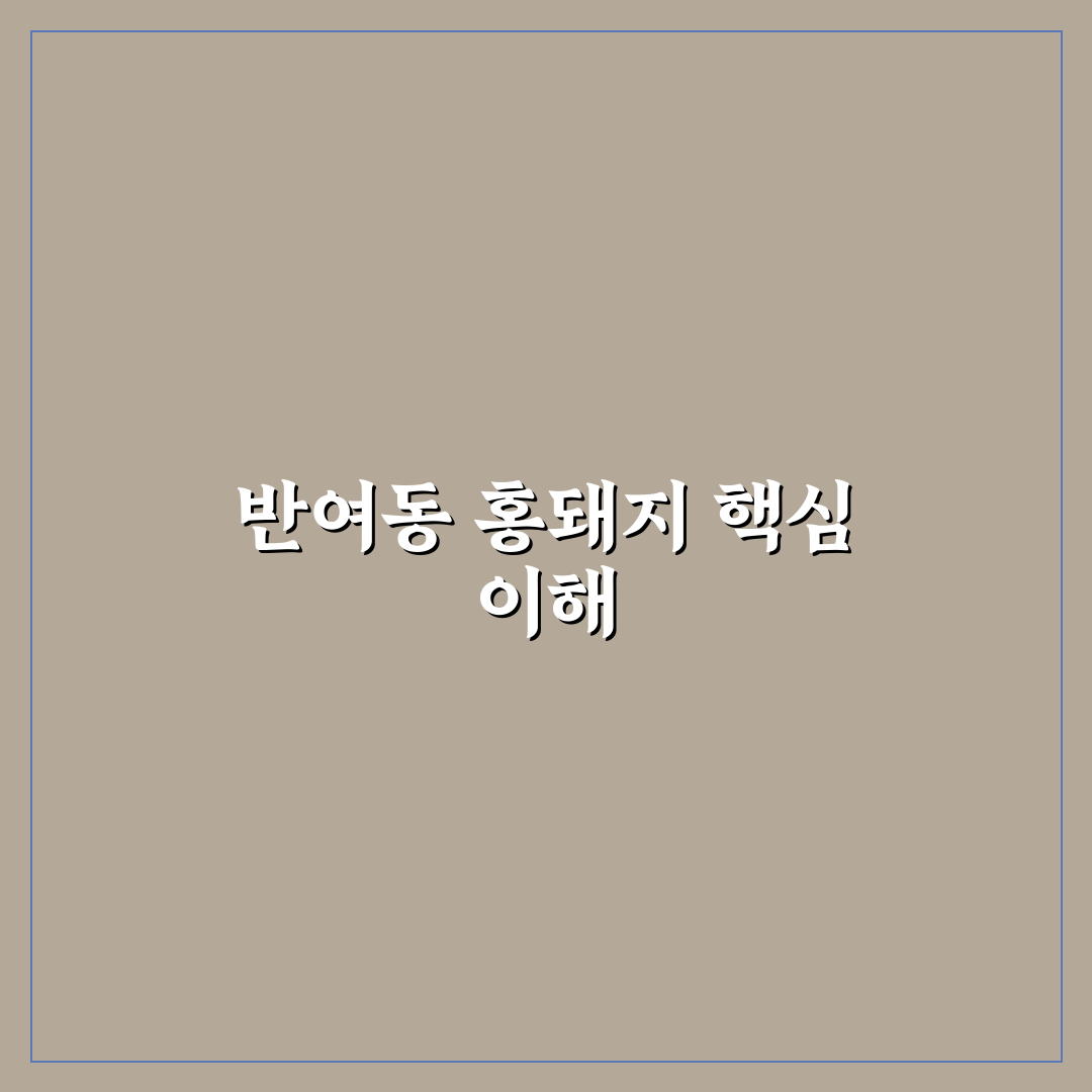 반여동 홍돼지 맛과 가격 비교 및 선택 기준 총정리