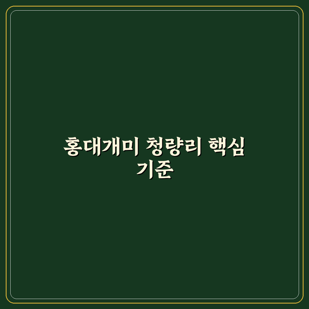 홍대개미 청량리 매장별 서비스와 가격 비교 분석 가이드