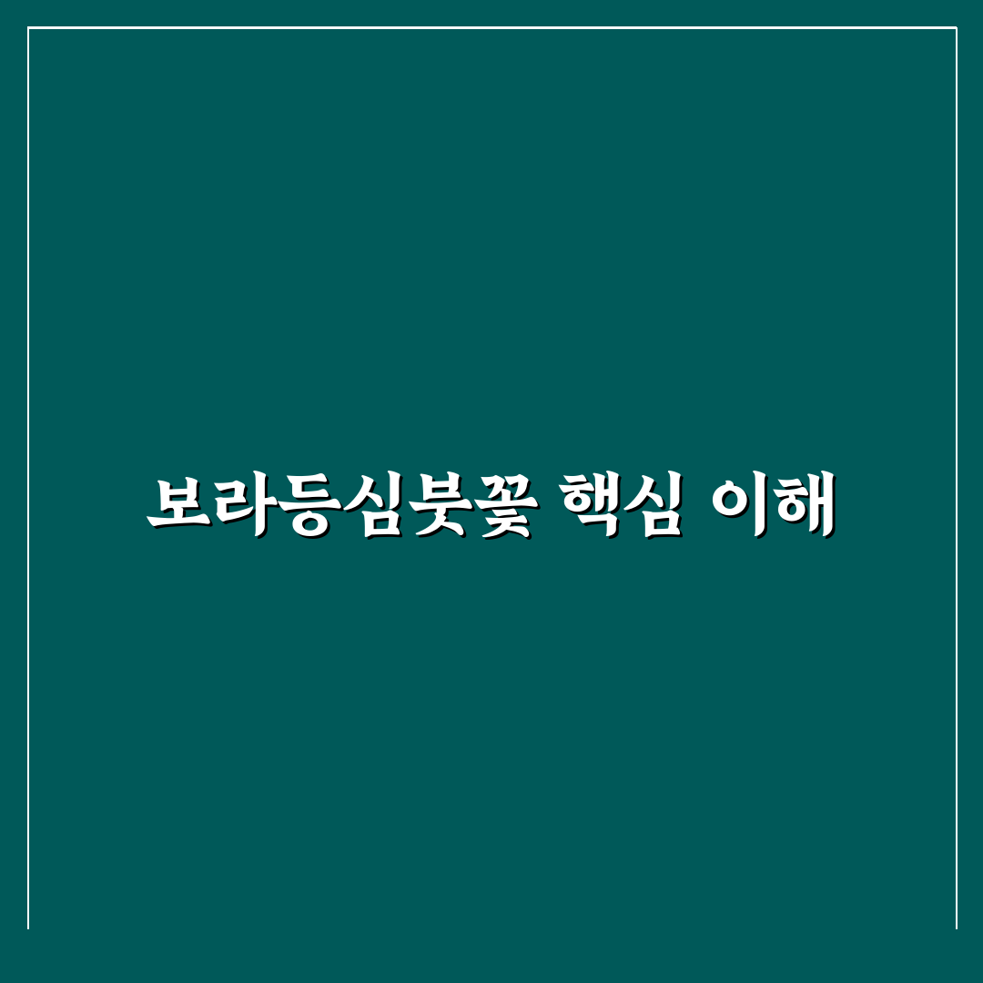 보라등심붓꽃 비교와 분석을 통한 효능 총정리 가이드