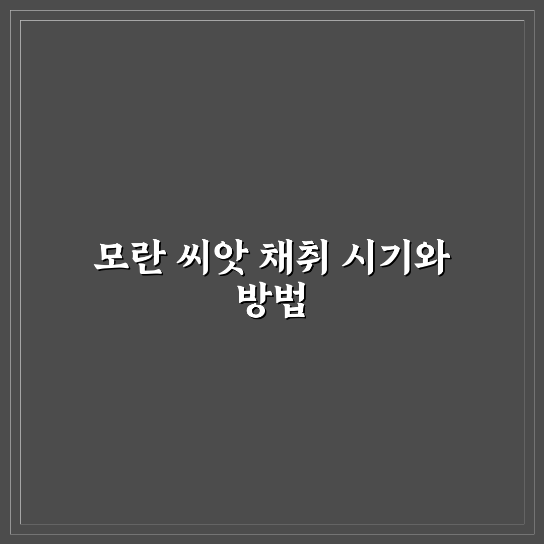 모란 씨앗받는법 5가지 기준과 성장 체크포인트 분석