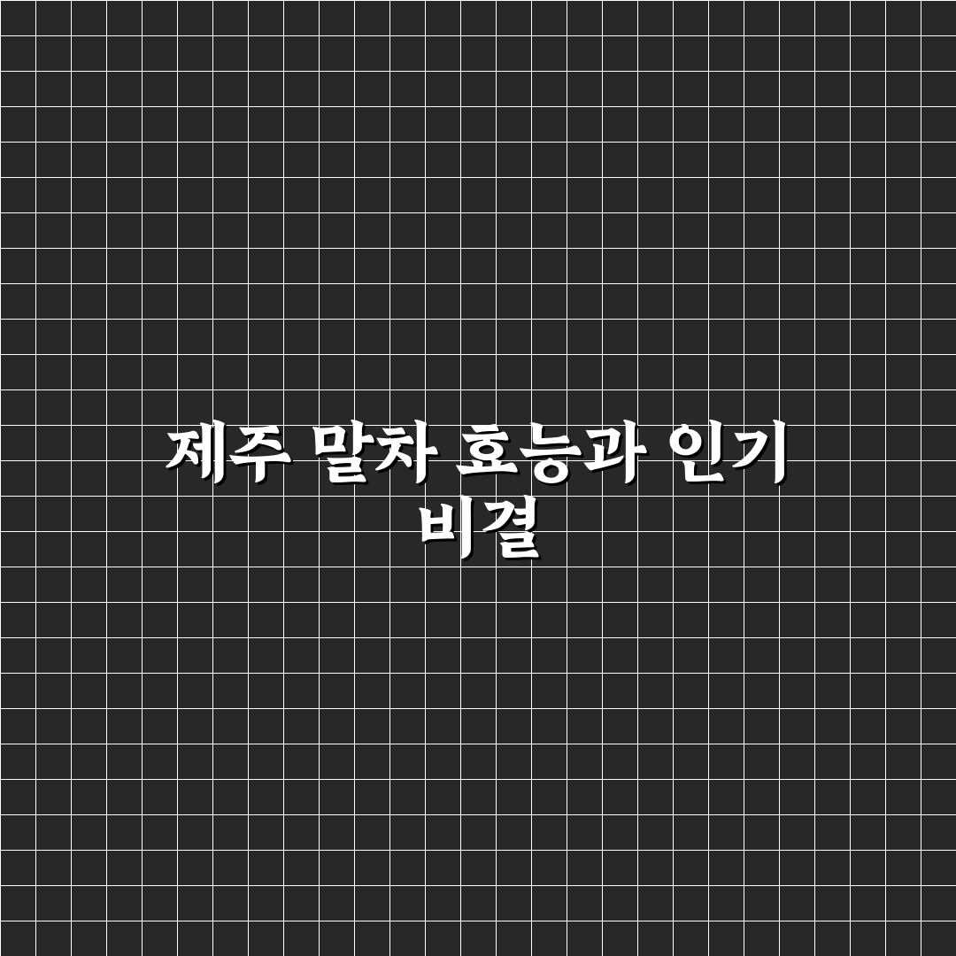 제주 말차 효능 5가지 기준별 체계적 분석과 판단 가이드