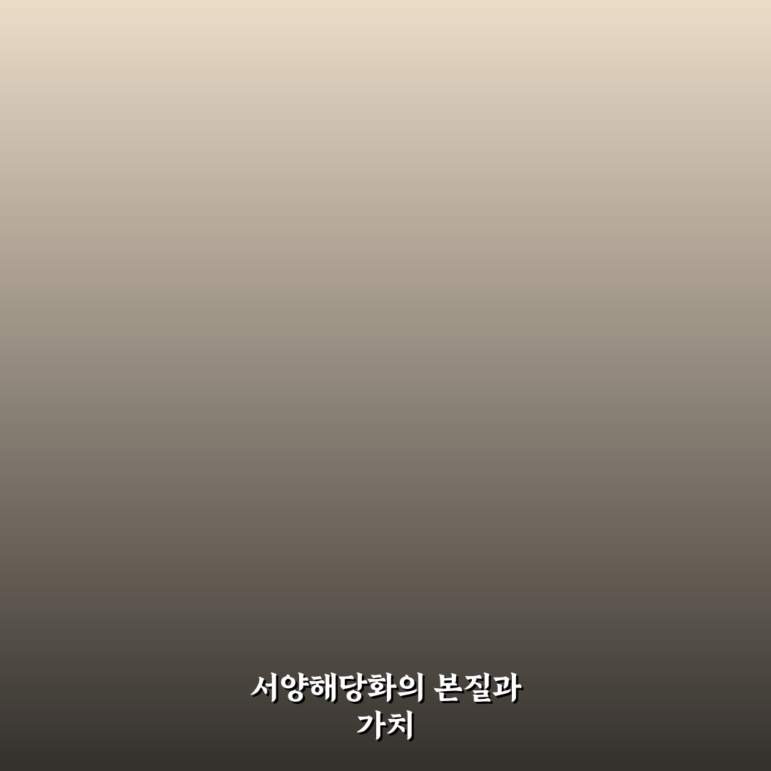 서양해당화 효과와 활용법 5가지 기준 분석 및 총정리